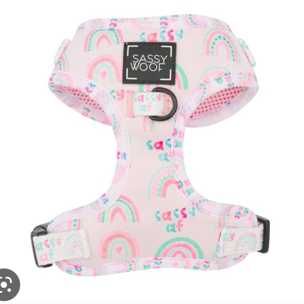 ‼️ISO SASSY WOOF🐶‼️ - Picture 3 of 3